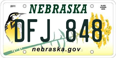 NE license plate DFJ848