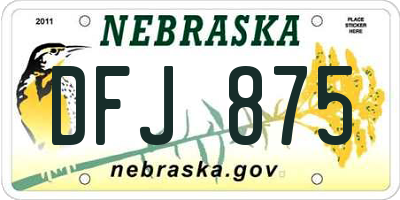 NE license plate DFJ875