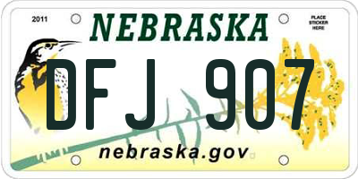 NE license plate DFJ907