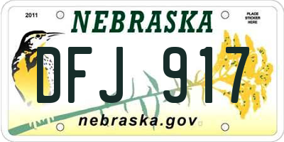 NE license plate DFJ917