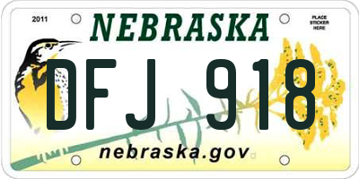 NE license plate DFJ918