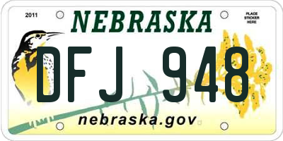 NE license plate DFJ948