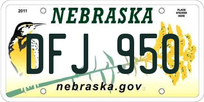 NE license plate DFJ950