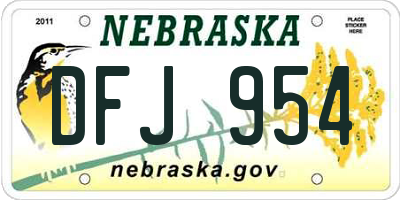 NE license plate DFJ954