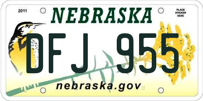 NE license plate DFJ955