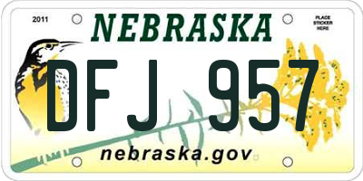 NE license plate DFJ957