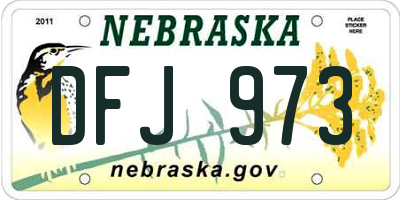 NE license plate DFJ973