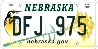 NE license plate DFJ975