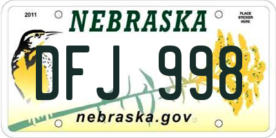 NE license plate DFJ998