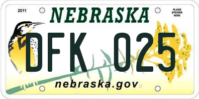 NE license plate DFK025