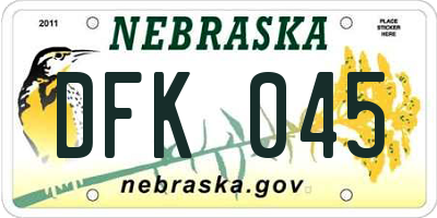 NE license plate DFK045