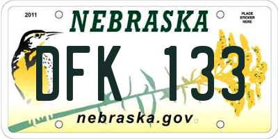 NE license plate DFK133