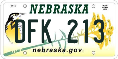 NE license plate DFK213