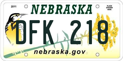 NE license plate DFK218