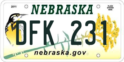 NE license plate DFK231