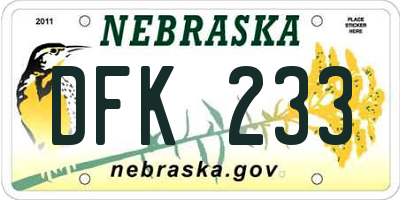 NE license plate DFK233