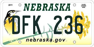 NE license plate DFK236