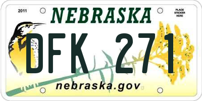 NE license plate DFK271