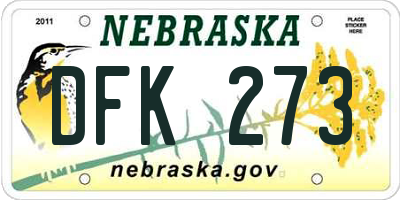 NE license plate DFK273