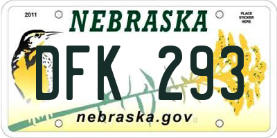 NE license plate DFK293