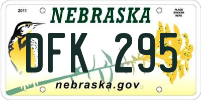 NE license plate DFK295