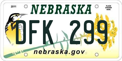 NE license plate DFK299