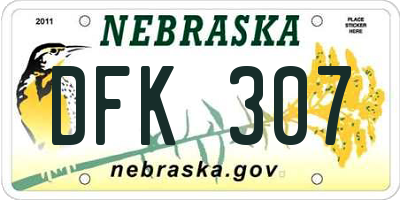 NE license plate DFK307