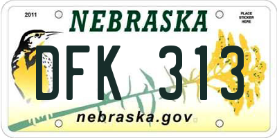 NE license plate DFK313