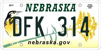 NE license plate DFK314