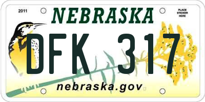 NE license plate DFK317