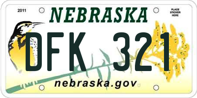 NE license plate DFK321
