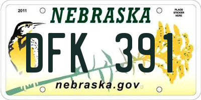NE license plate DFK391