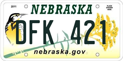 NE license plate DFK421