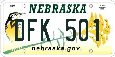 NE license plate DFK501