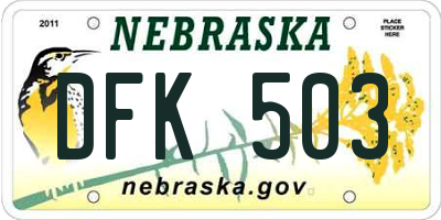 NE license plate DFK503