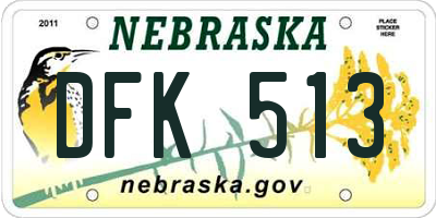 NE license plate DFK513