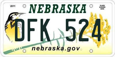 NE license plate DFK524