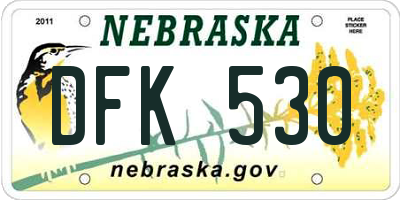 NE license plate DFK530