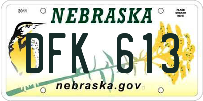 NE license plate DFK613