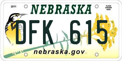 NE license plate DFK615