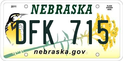 NE license plate DFK715