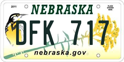 NE license plate DFK717