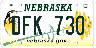 NE license plate DFK730