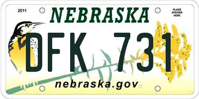 NE license plate DFK731