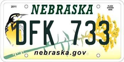NE license plate DFK733