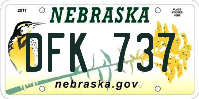 NE license plate DFK737