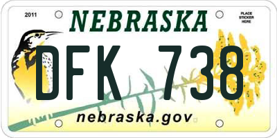 NE license plate DFK738