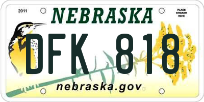 NE license plate DFK818
