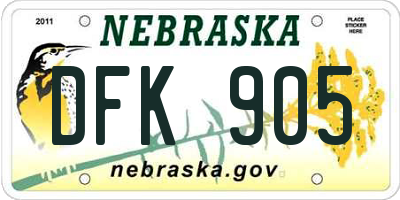 NE license plate DFK905