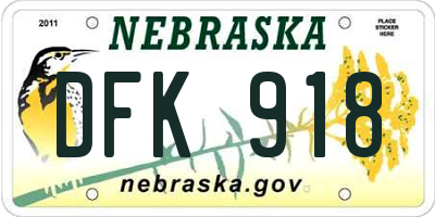 NE license plate DFK918